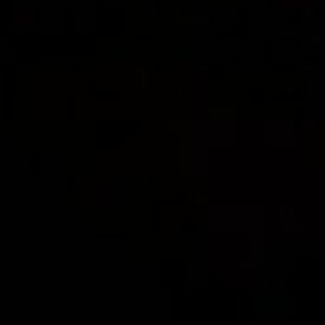 Profile photo of Kai