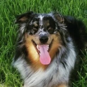 Profile photo of Alexandra