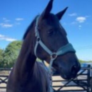 Profile photo of Emily