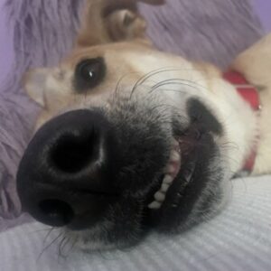 Profile photo of Breanna