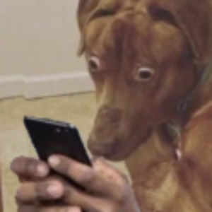 Profile photo of Connor