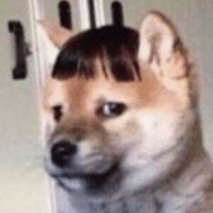 Profile photo of Ellie
