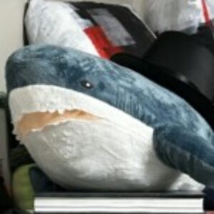 Profile photo of Jillian