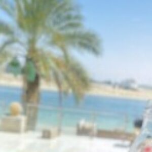 Profile photo of Hessa Alsdeeqi