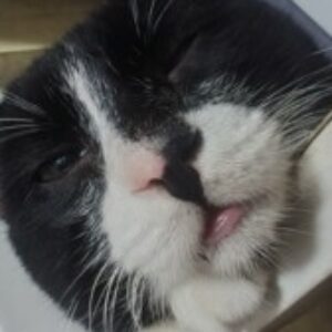 Profile photo of Elijah