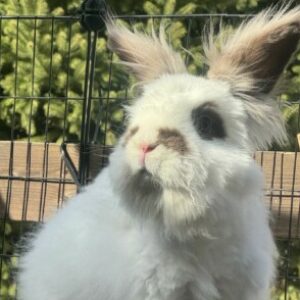 Profile photo of Jessie