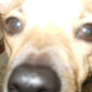 Profile photo of Roberta
