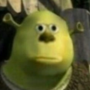Profile photo of Kinga