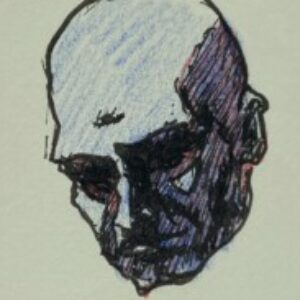 Profile photo of Brage