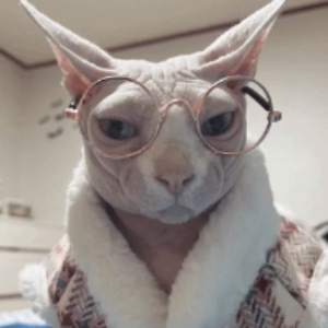 Profile photo of Batu