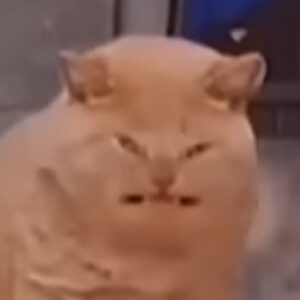 Profile photo of Loke