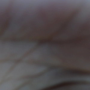 Profile photo of Karolina