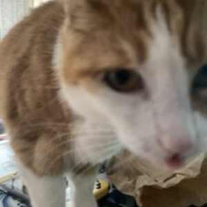 Profile photo of Johannes