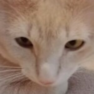 Profile photo of Siomara
