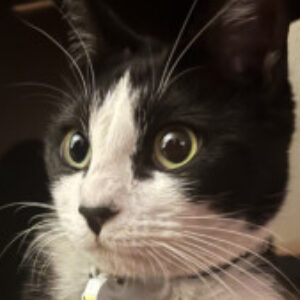 Profile photo of Daniel