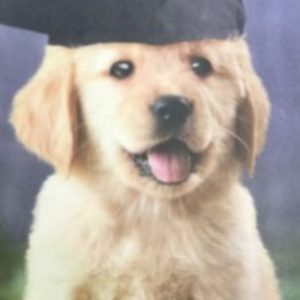 Profile photo of Jailyn