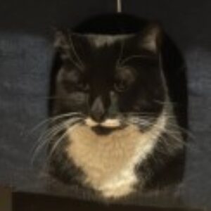 Profile photo of Griffyn