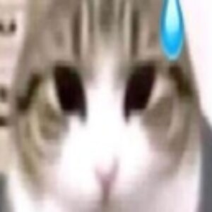 Profile photo of milkisea