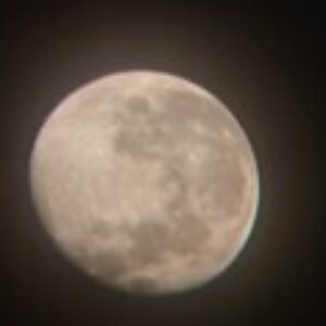 Profile photo of cher