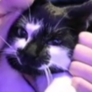 Profile photo of Oceanne Desnoyers