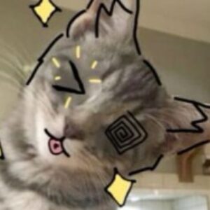 Profile photo of spif