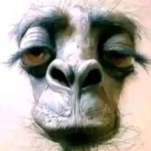Profile photo of Amitt