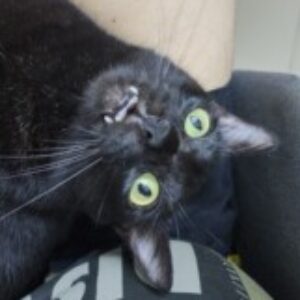 Profile photo of Revvy