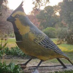 Profile photo of Laura_CGF