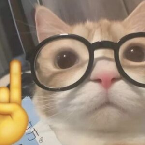 Profile photo of catnip.de4ler