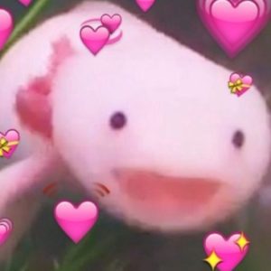Profile photo of sera