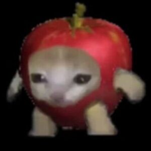 Profile photo of Natan