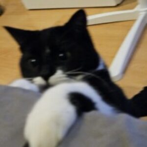 Profile photo of emilie.drolet