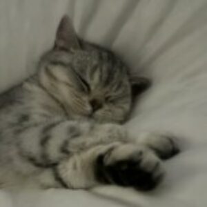 Profile photo of Leonie Maria