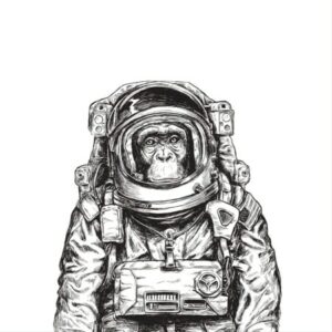 Profile photo of Luke