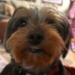 Profile photo of Emma