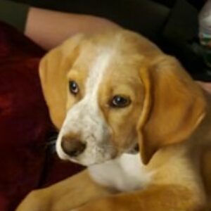Profile photo of Aletha