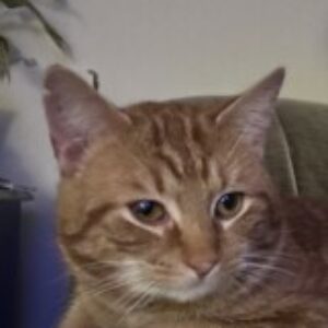 Profile photo of Evan