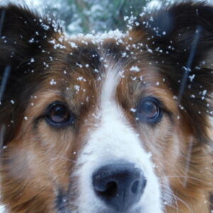 Profile photo of ellie