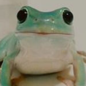 Profile photo of katelin