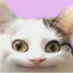 Profile photo of Oskar