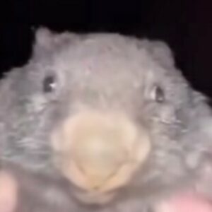 Profile photo of Hazelle