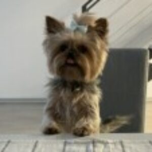 Profile photo of Paola