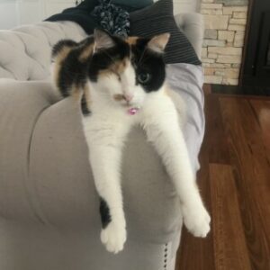 Profile photo of Zara