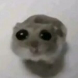 Profile photo of Voidcat