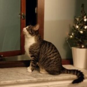 Profile photo of Weronika