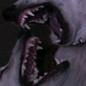 Profile photo of denise_sy
