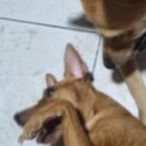 Profile photo of Stella