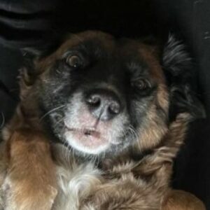 Profile photo of Julia