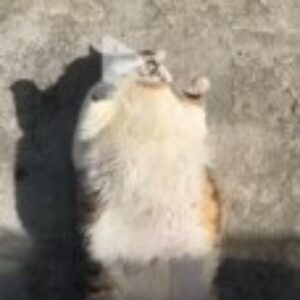 Profile photo of Melinda